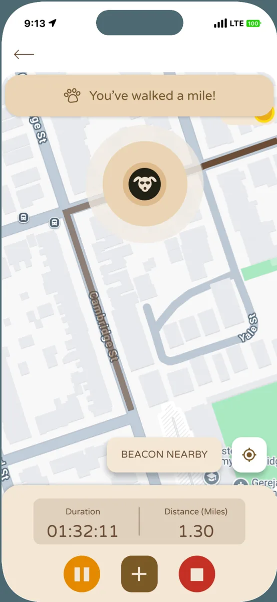 Track the walk screen